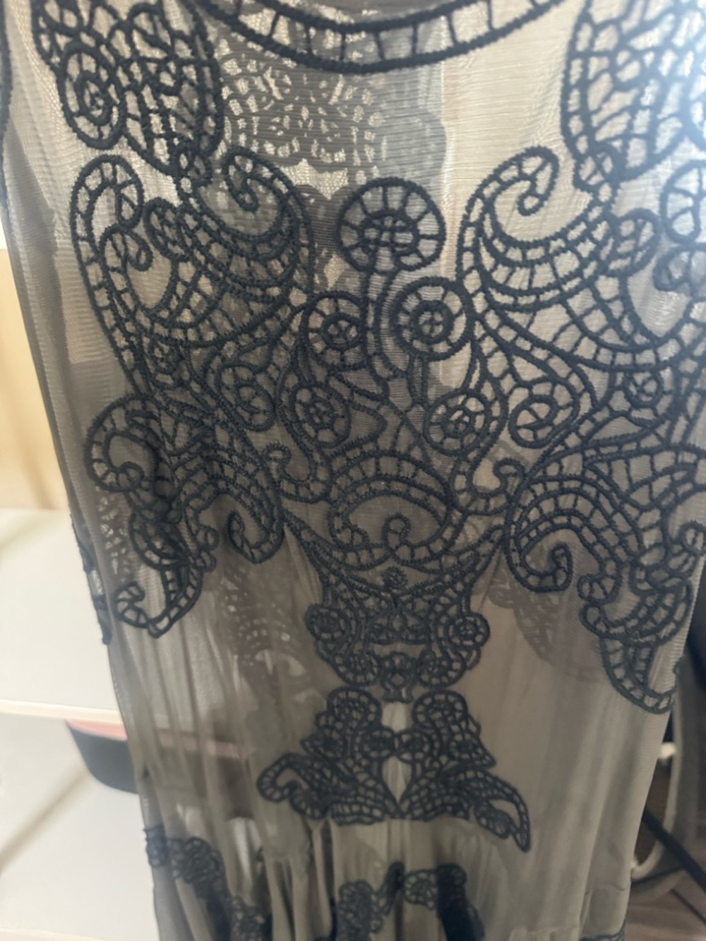 Sheer Mesh Dress with Ornate Black Embroidery